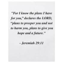 JEREMIAH 29:11