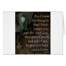 Jeremiah 29:11 hope for the future card