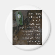 Jeremiah 29:11 hope for the future magnets