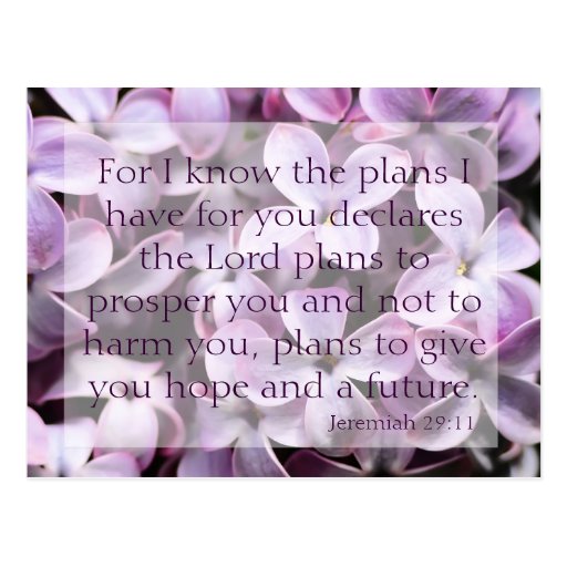 Jeremiah 29:11 Lilacs Postcard