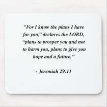 JEREMIAH 29:11