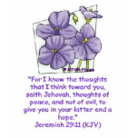 Jeremiah 29:11 t-shirts