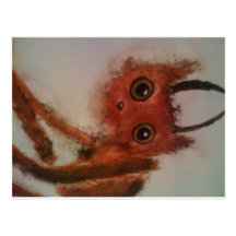 Jerk Monster Post Card