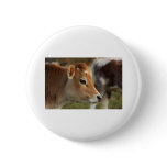 Jersey Cow buttons