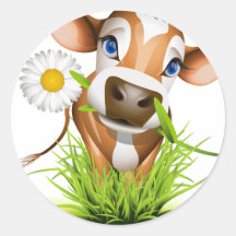 Jersey cow in grass round sticker