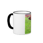 JERSEY COW IN JERSEY mugs