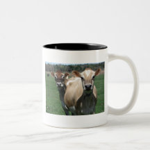 Jersey cows coffee mugs