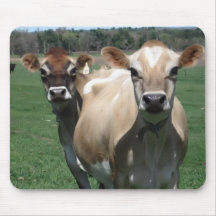 Jersey cows mousepads