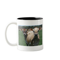 Jersey cows coffee mugs