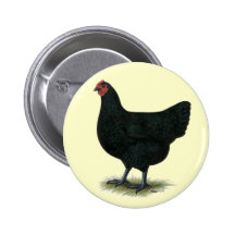 Jersey Giant:  Black Hen Button