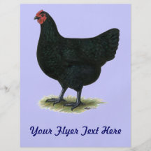 Jersey Giant:  Black Hen Custom Flyer
