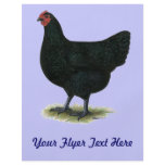 Jersey Giant:  Black Hen Custom Flyer