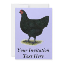 Jersey Giant:  Black Hen Personalized Invitation