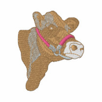 Jersey Head