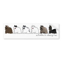 Jersey Wooly Group