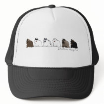 Jersey Wooly Group