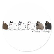 Jersey Wooly Group