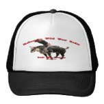 Jesse hat