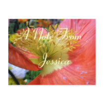 Jessica Post Cards
