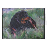 jessie dog cards