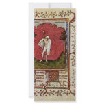 Jester By Hesdin Jacquemart De (Best Quality) rack cards