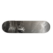 Jesus Christ Stills the Tempest Skate Decks