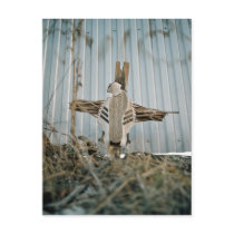 Jesus Christ Superstar Post Card