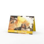 jesus is risen - happy easter cards