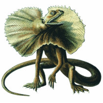Jesus Lizard Photo Sculpture