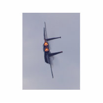 Jet Aeroplane Photo Sculpture