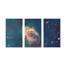 Jet in Carina Wrapped Canvas canvas prints