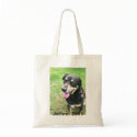 Jethro, 2011 bags