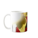 Jewel Bright Mugs