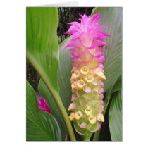 Jewel of Thailand Greeting Cards