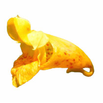 Jewel Weed ~ acrylic Cut Out