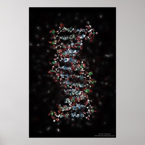 Jewelled DNA Posters