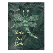 Jewelled Dragonfly Postcard