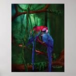 Jewels Of The Jungle Art Poster/Print
