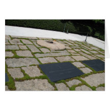 JFK Memorial Greeting Cards