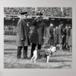 Jiggs Knows Football: 1923 posters