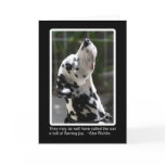 Jiggs the Sun Worshipper cards