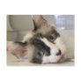 Jillie Post Card