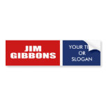 JIM GIBBONS FOR GOVERNOR