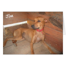 Jim:  Runs and jumps, refuses to be contained! Card