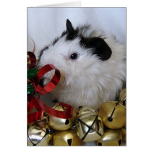 Jingle Bell Guinea Pig Cards