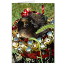 Jingle Bell Guinea Pig Cards