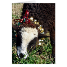 Jingle Bell Lamb Greeting Cards