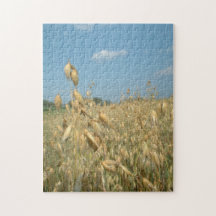 JIPU: Summer Oats Puzzles