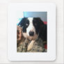 JJ~The Border Collie Mousepad