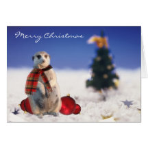 Jo Jo Hello wishes you a Merry Christmas Card